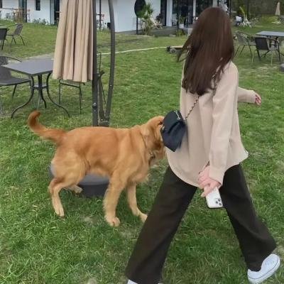 后窗的女人
